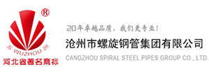沧州市糖心LOGO官网首页集团有限公司